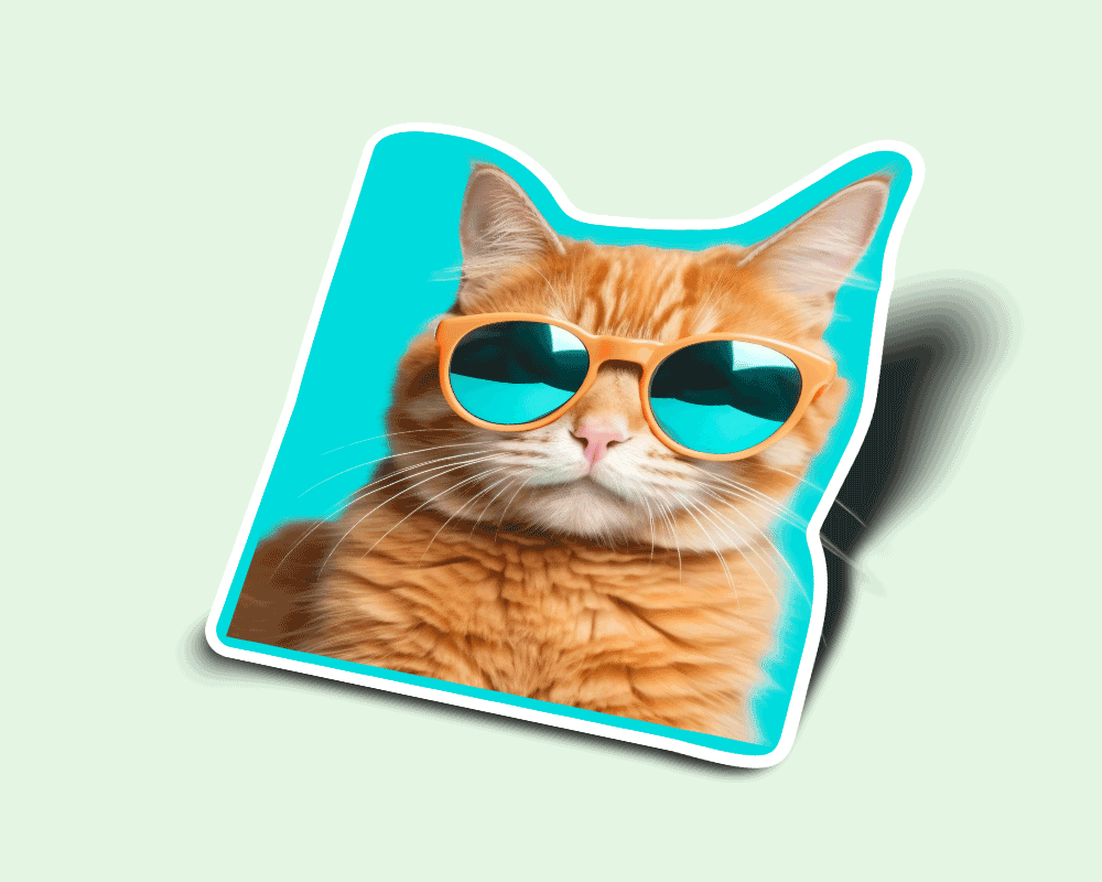 cat sticker cat sunglasses kitten feline cool cat