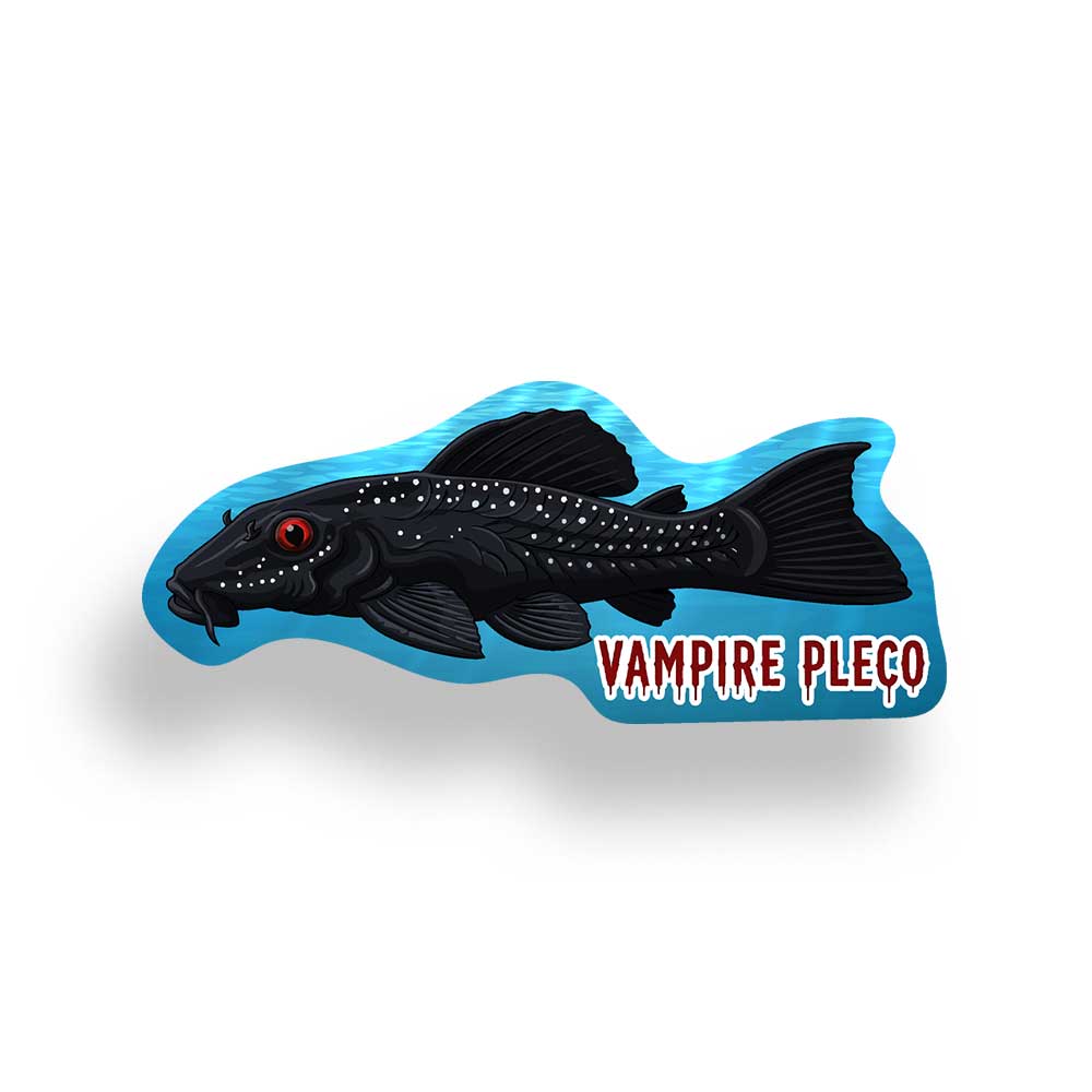 Vampire pleco fish with a red eye and pearly spots on a blue background