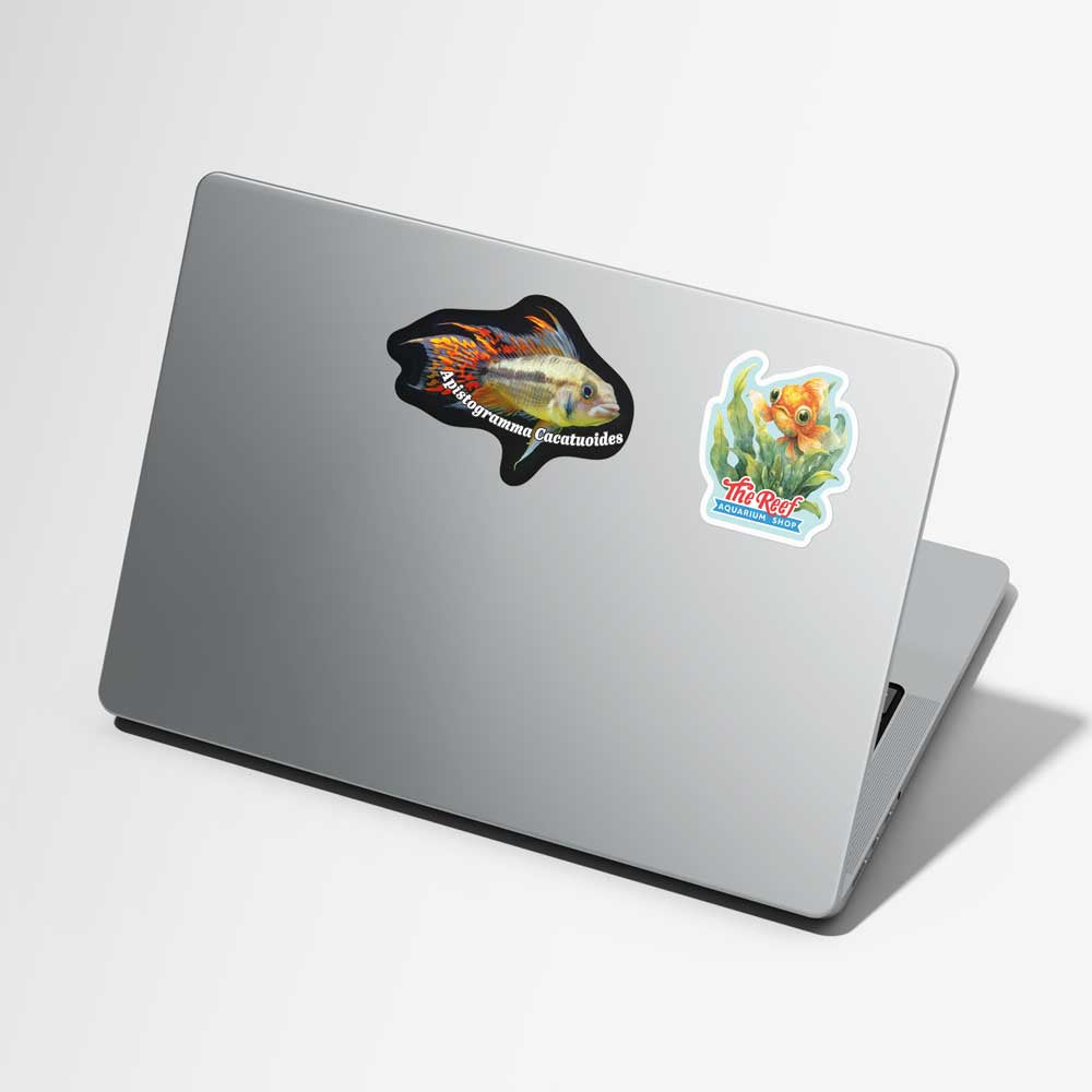 Apistogramma Cacatuoides Vinyl Decal Weatherproof Sticker