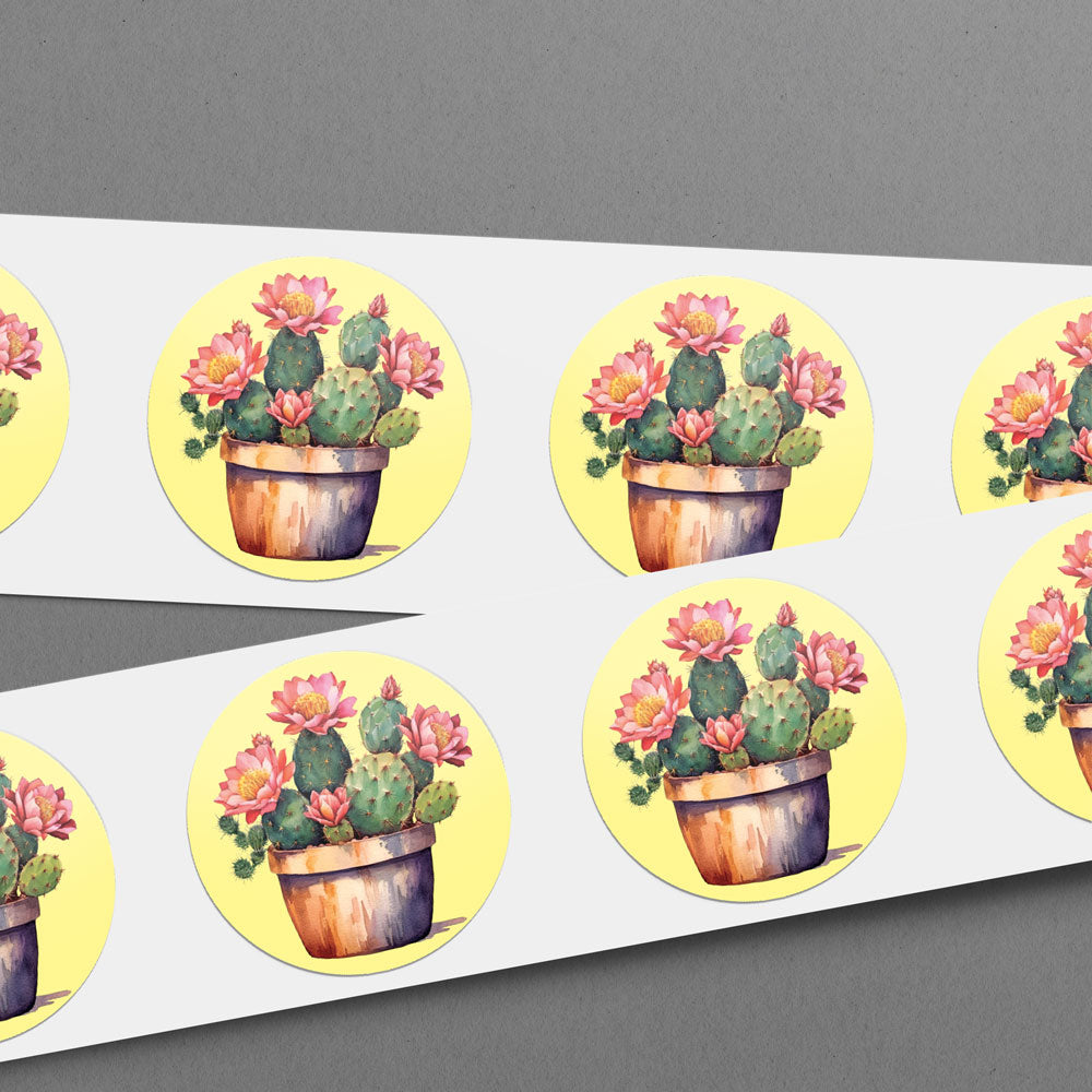 Succulent Envelope Seals