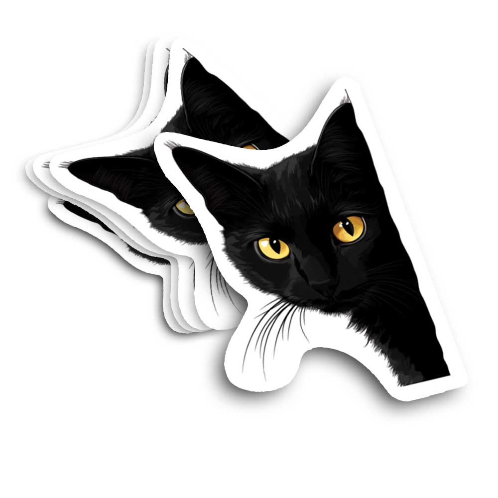 black cat sinister stare yellow cat eyes vinyl decal bumper sticker