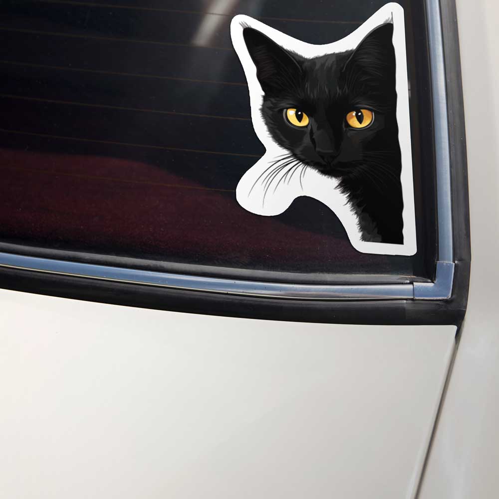 Black Cat Death Stare Weatherproof Sticker Vinyl Decal
