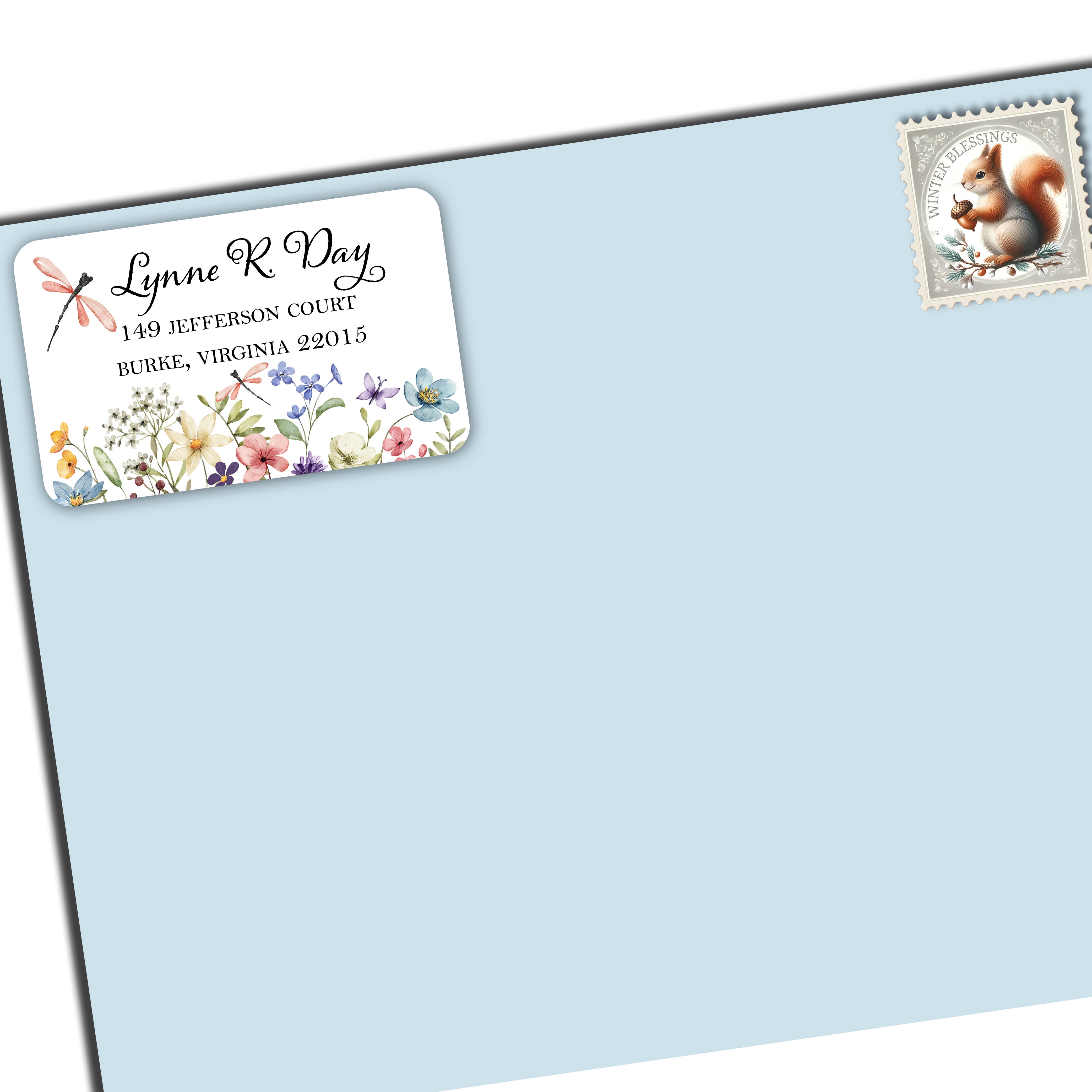 butterfly dragonfly daisy coreopsis