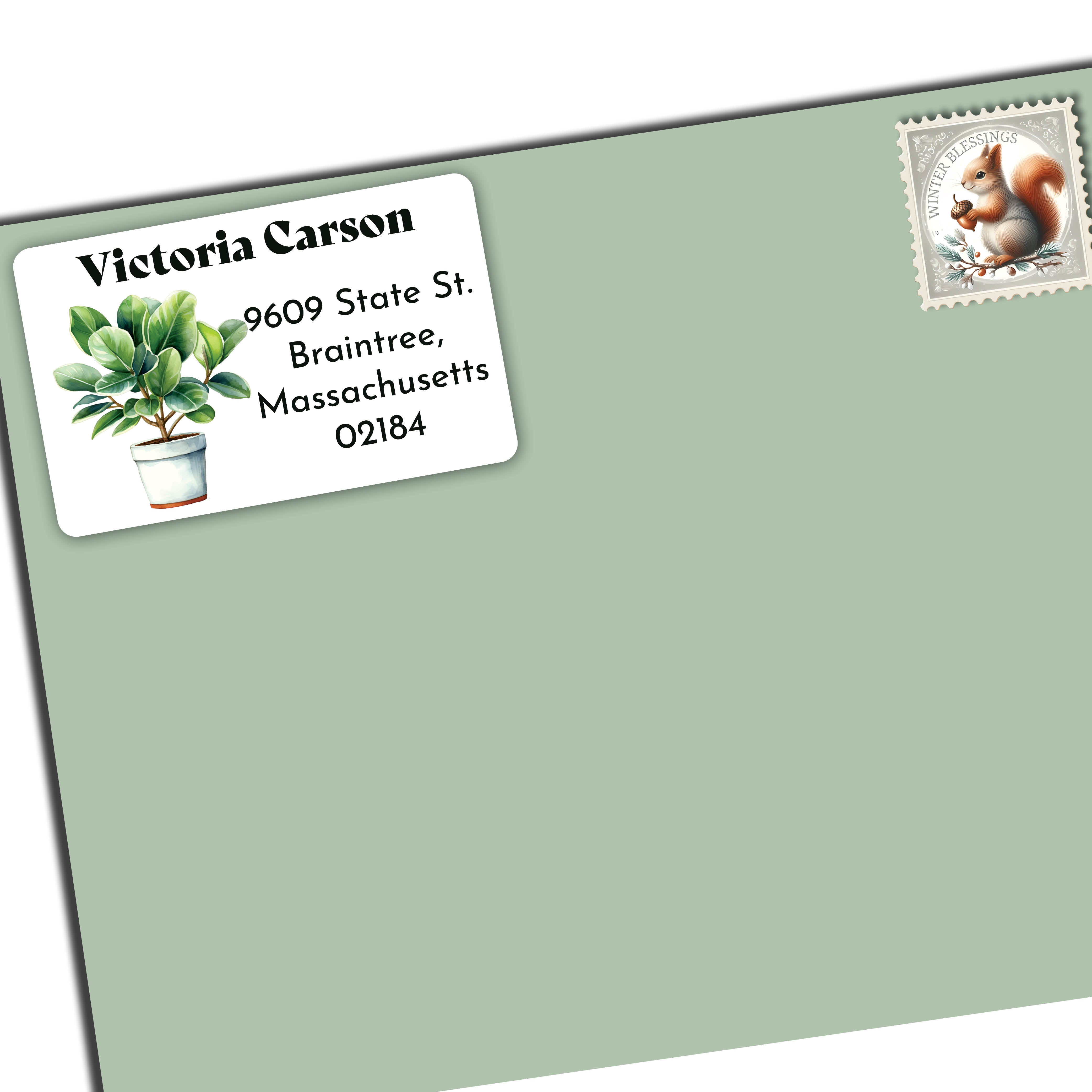 Ficus Houseplant Return Address Labels