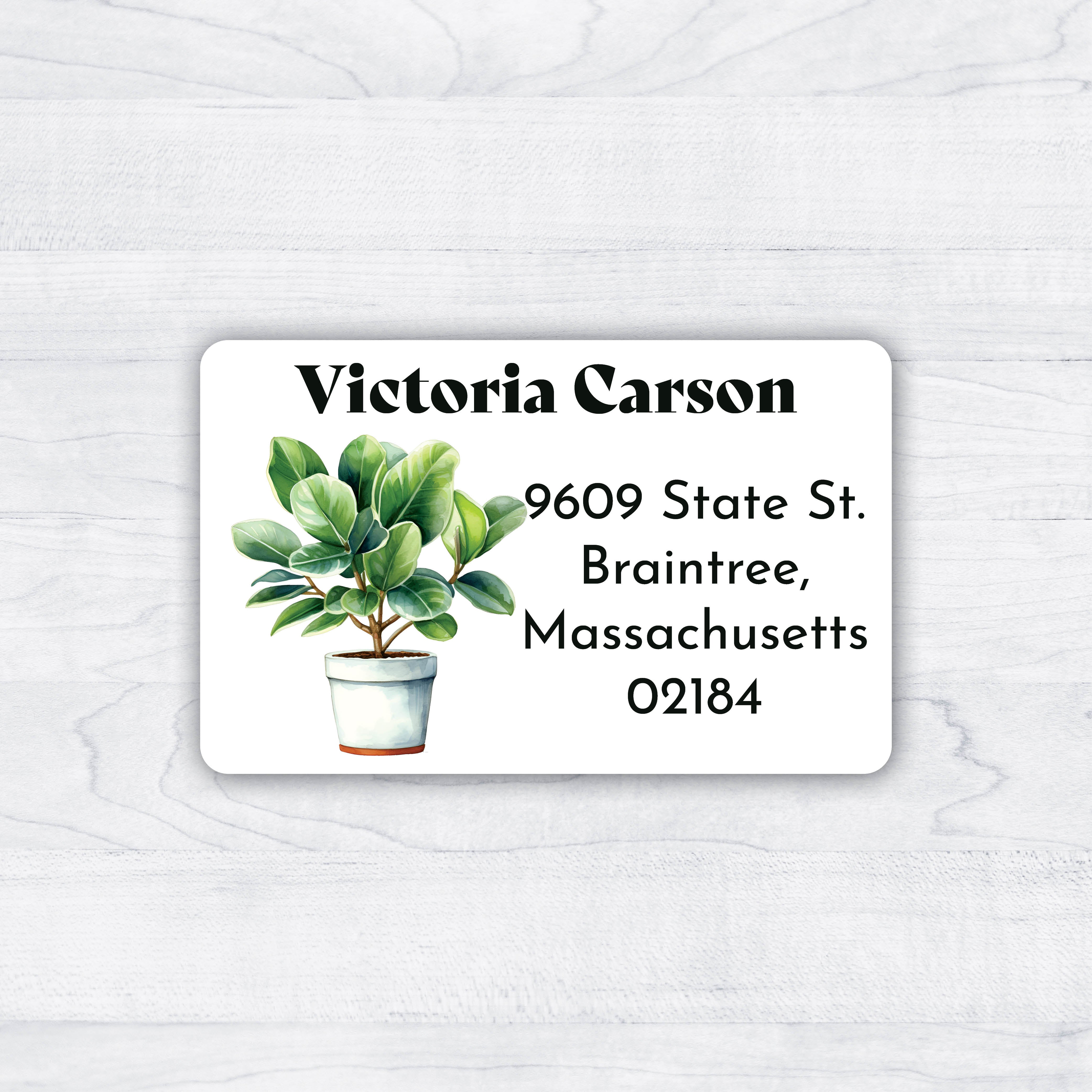Ficus Houseplant Return Address Labels