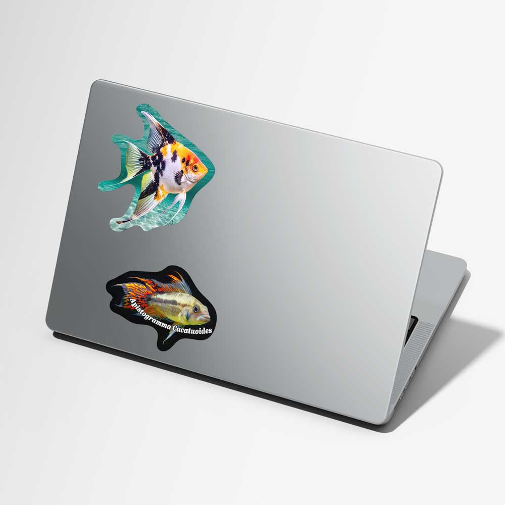 Koi Angelfish Vinyl Decal Weatherproof Sticker
