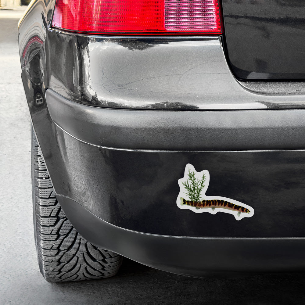 Kuhli Loach Vinyl Decal Weatherproof Sticker