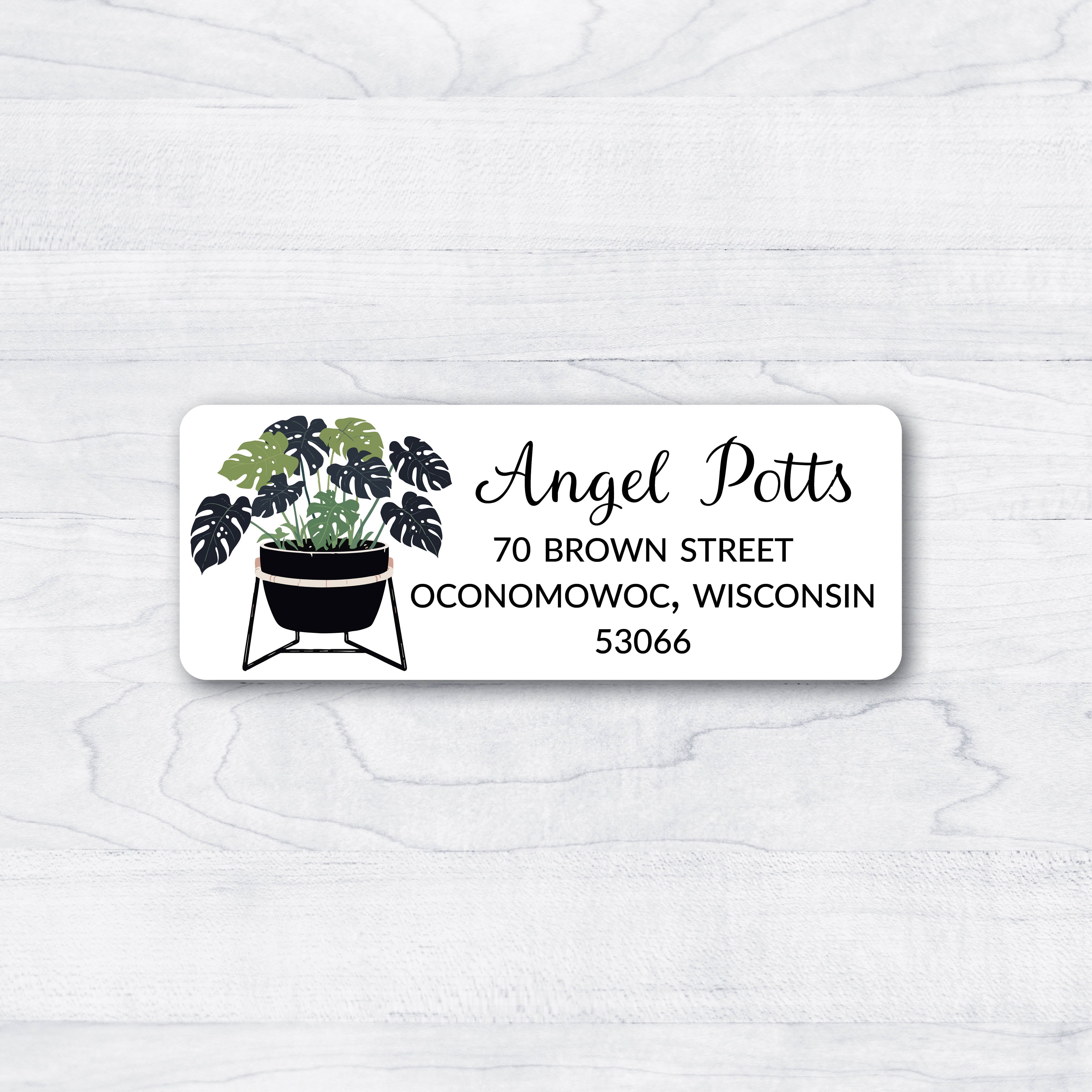 monstera house plant return address label