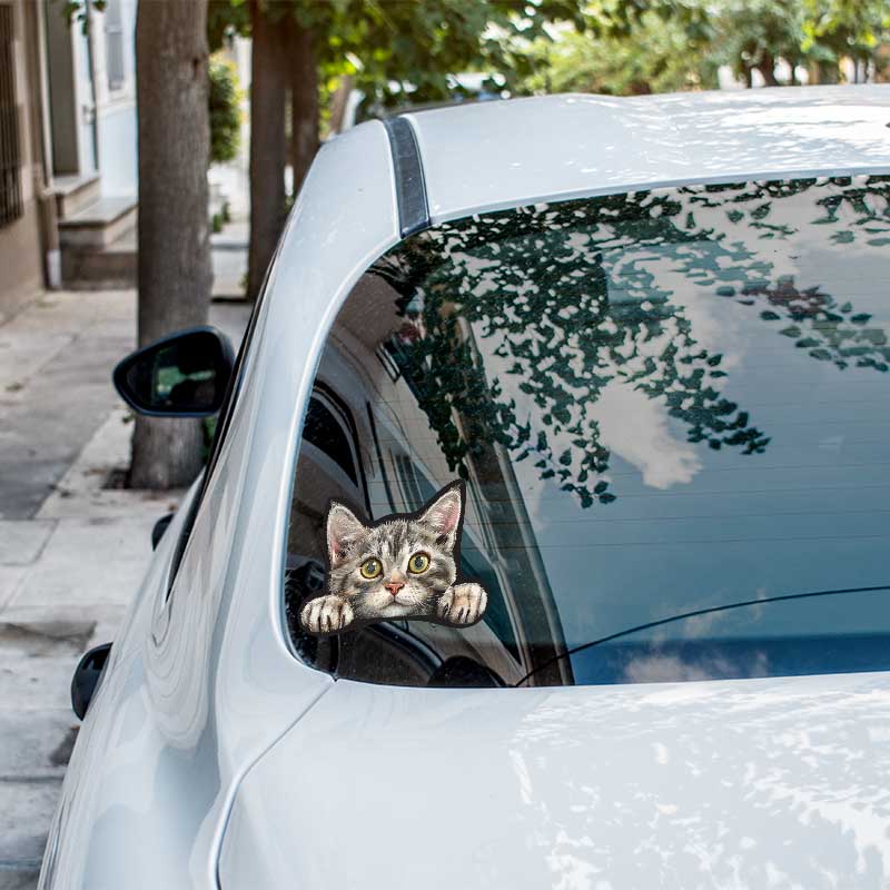 American Wirehair Cat Weatherproof Sticker Vinyl Decal