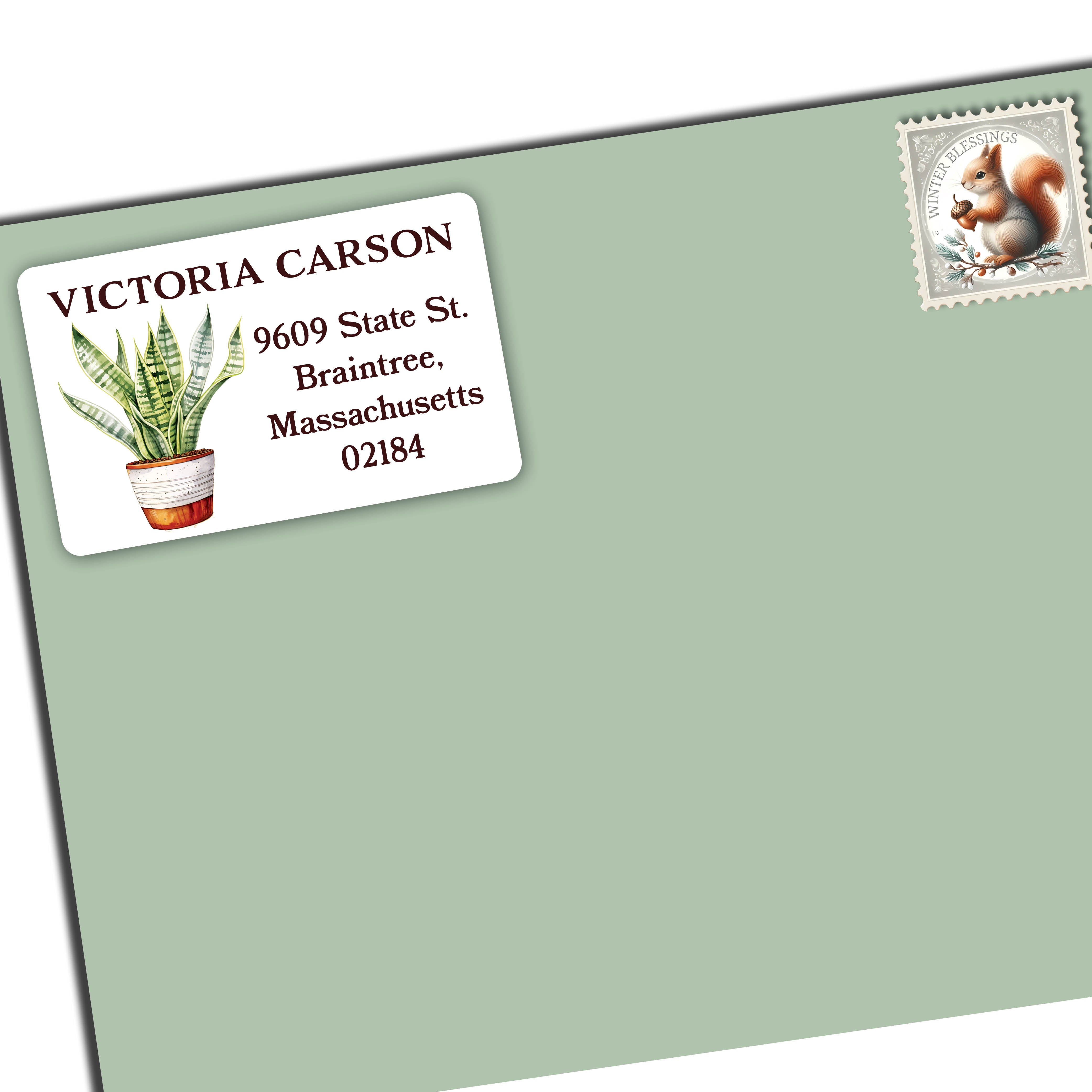 Snake Plant  Return Address Labels