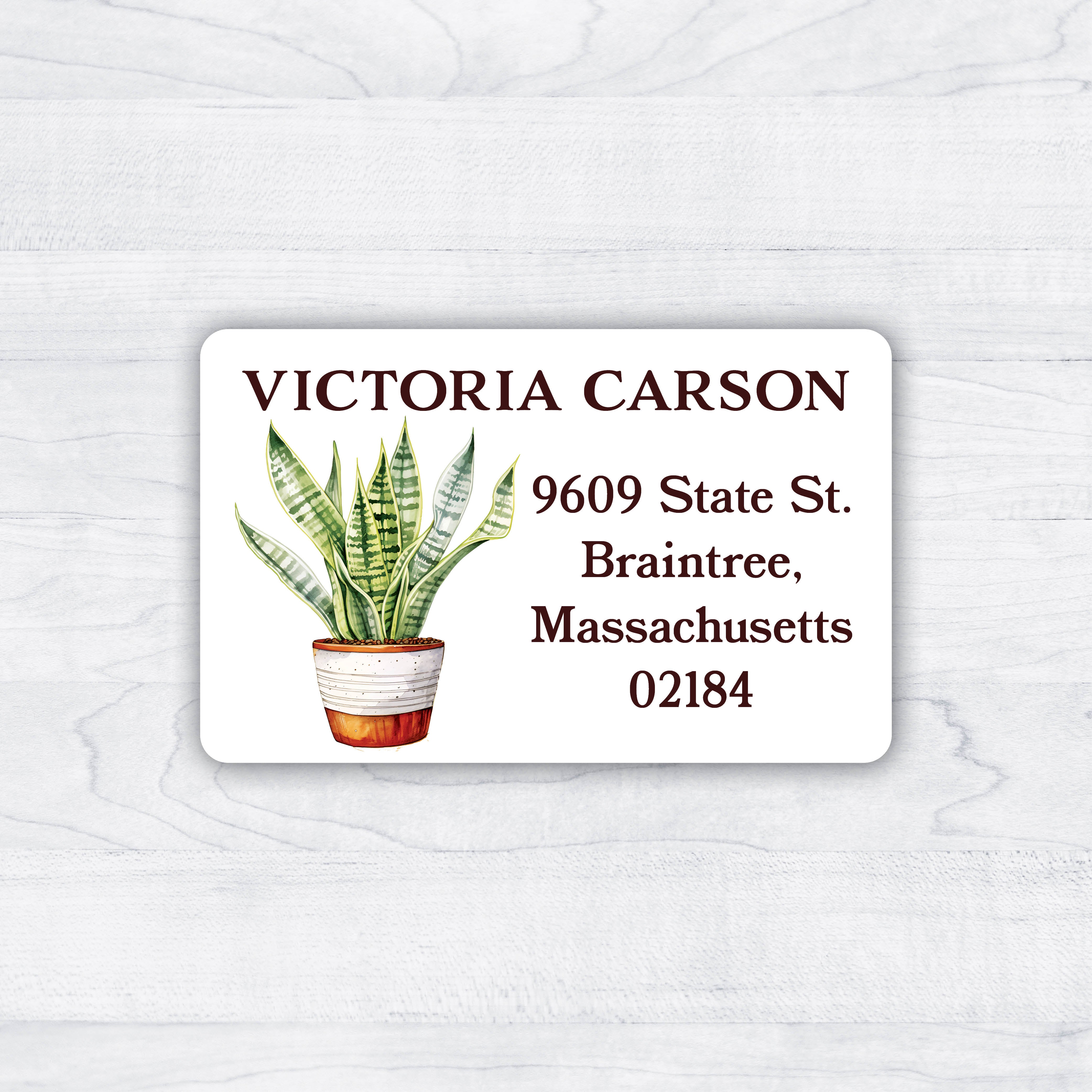 snakeplant return address labels with variegated leaves