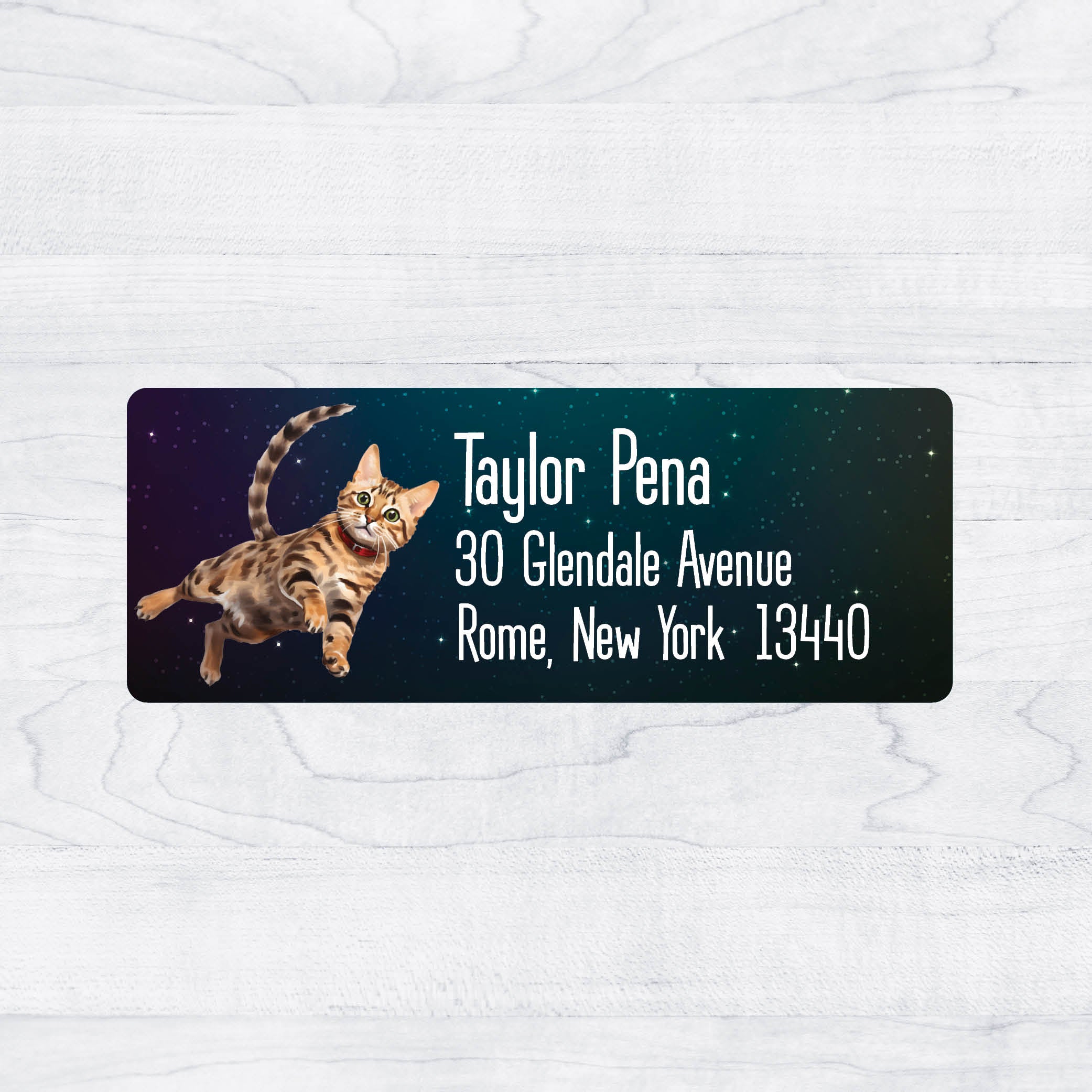 Large Cat Address Labels Space Cat Return Address Labels – Stella's Stickers & Cards