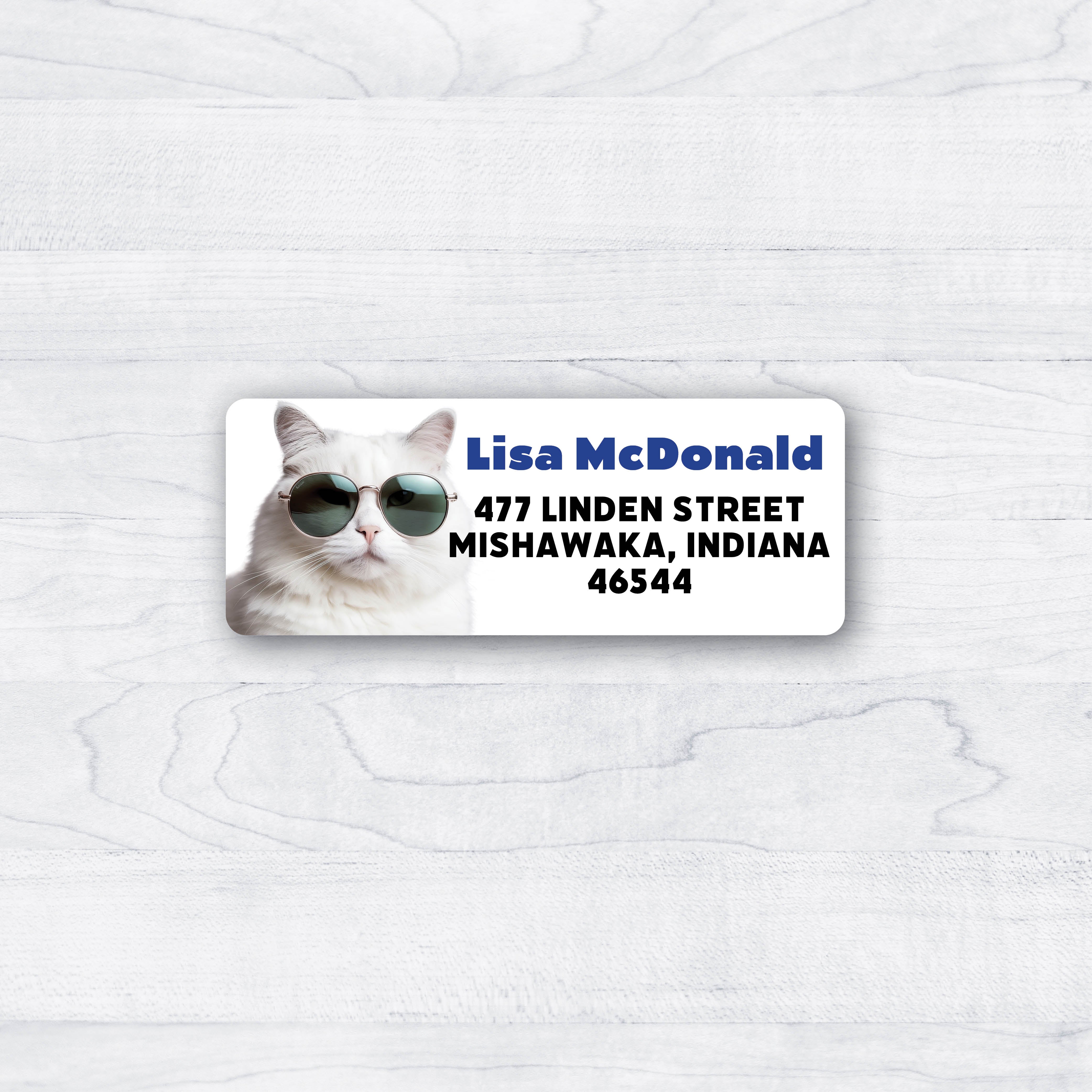 cat with aviator sunglasses return address label
