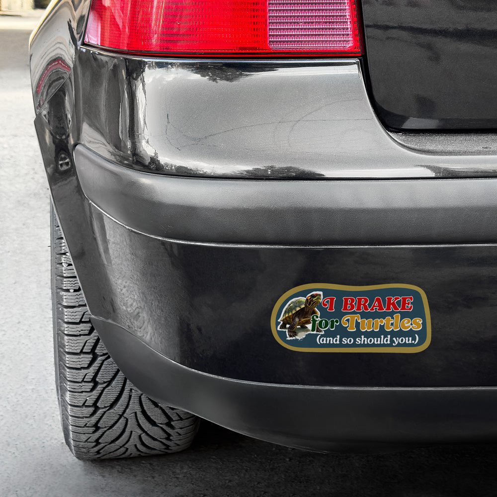I Brake for Turtles Vinyl Bumper Sticker