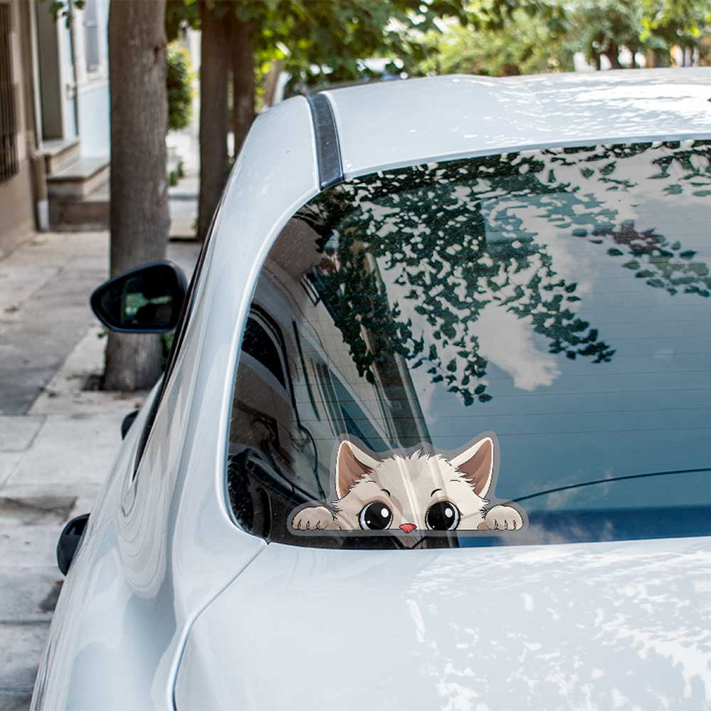 Peeking White Cat Weatherproof Sticker Vinyl Decal