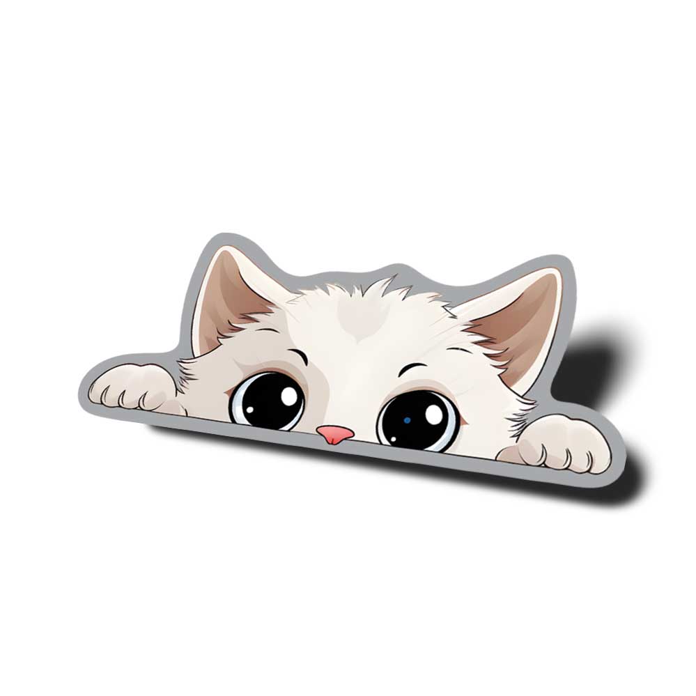 peeking white cat white kitten for car